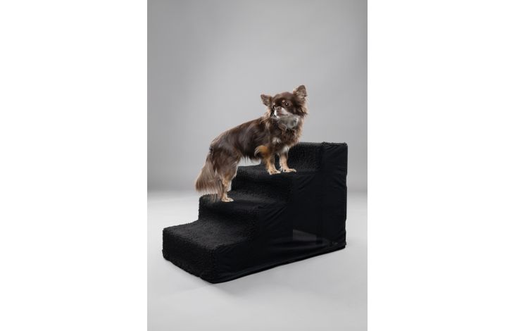 Flamingo Stairs Tampa Black