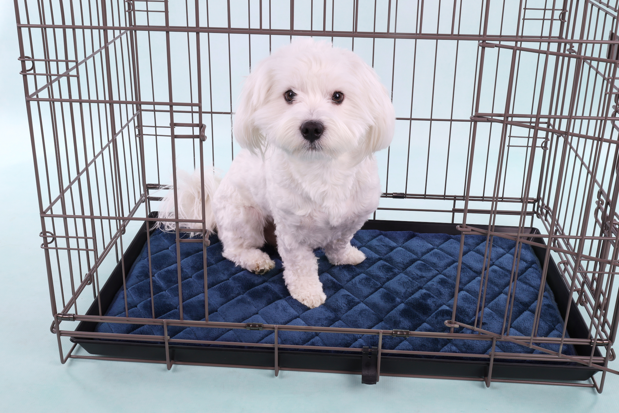 Flamingo Kussen Weimar Rechthoekig Blauw XS