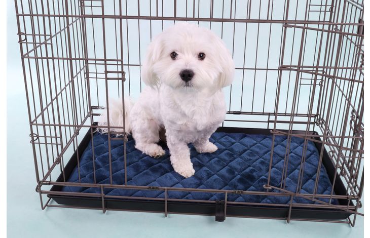 Flamingo Kussen Weimar Rechthoekig Blauw XS