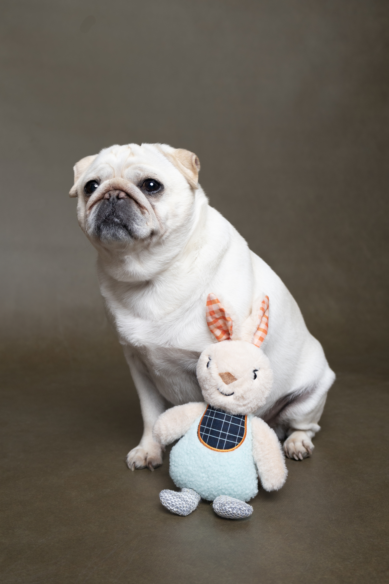 Flamingo Jouet Kroa Lapin Mélange