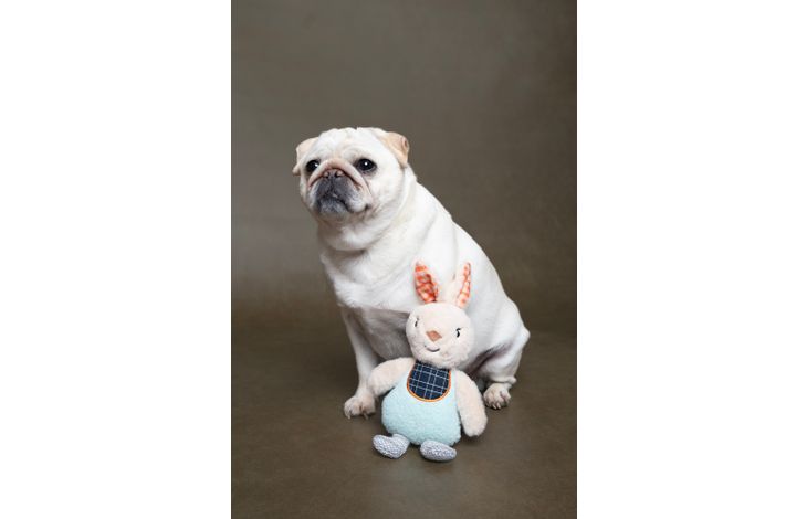 Flamingo Jouet Kroa Lapin Mélange