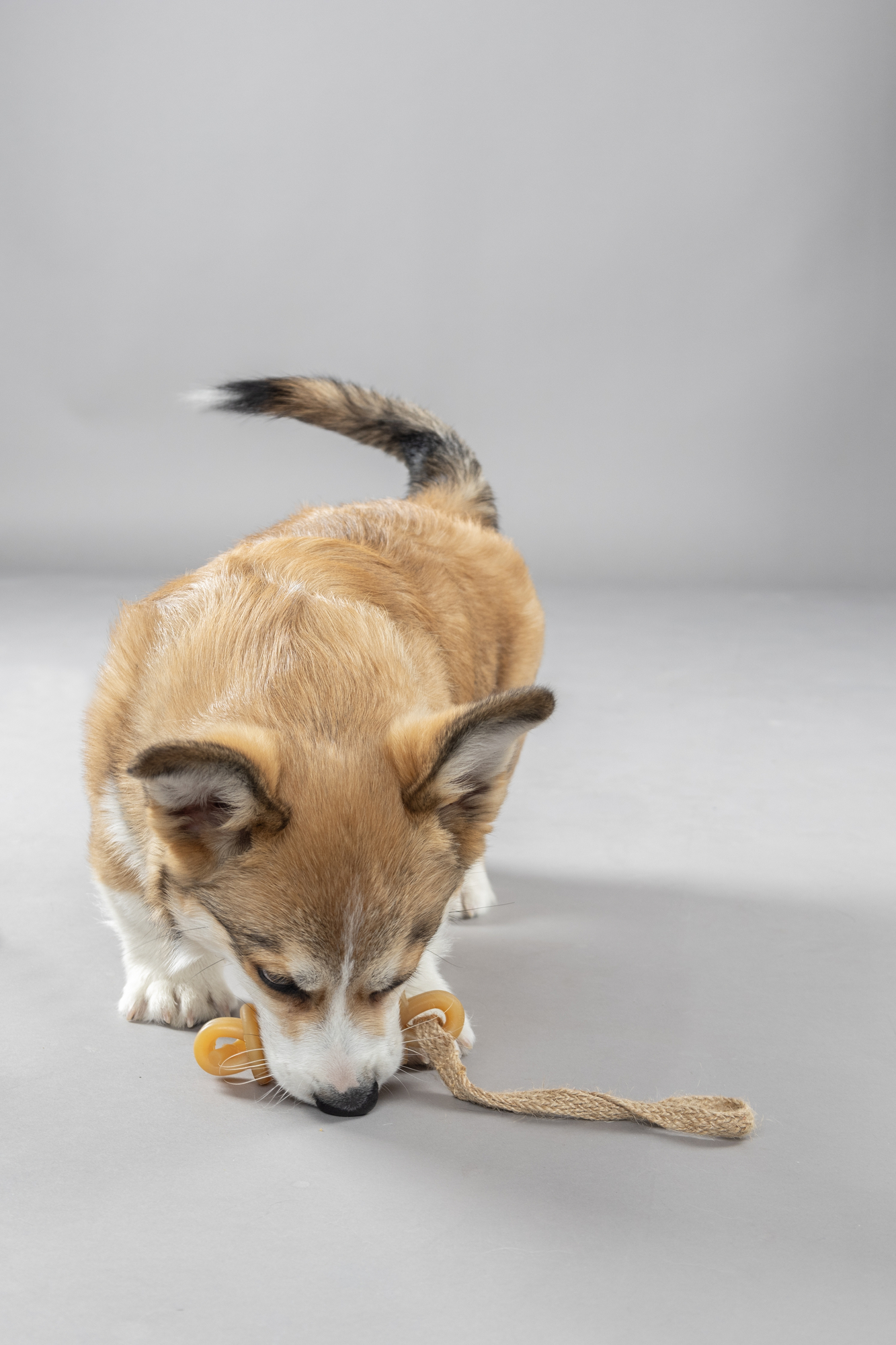 Flamingo Toy Guma Stick with rope Brown