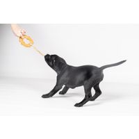 Flamingo Speelgoed Guma Ring met touw Bruin