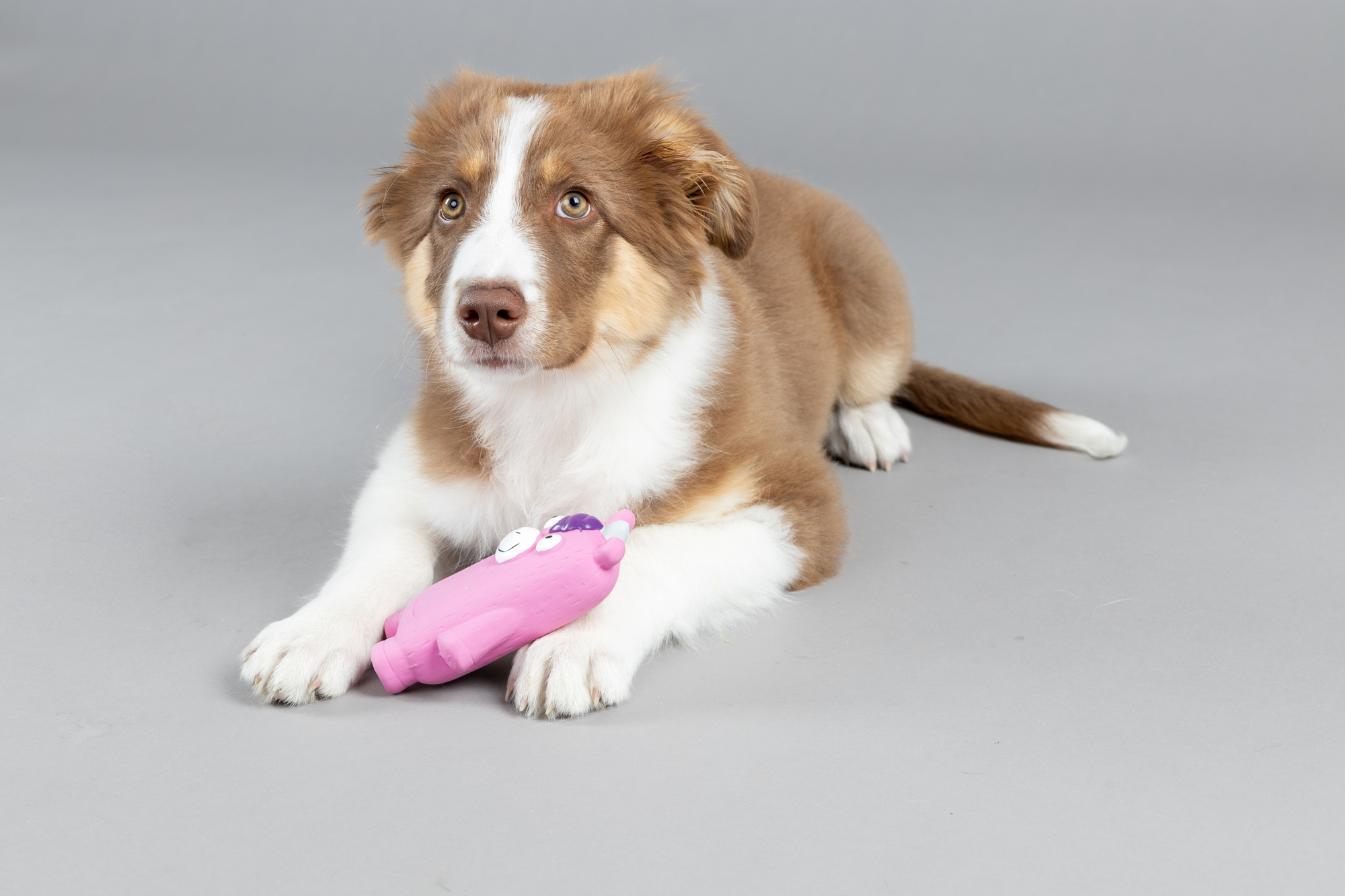 Flamingo Toy Tiba Wild boar & Unicorn & Rhinoceros Multiple colours