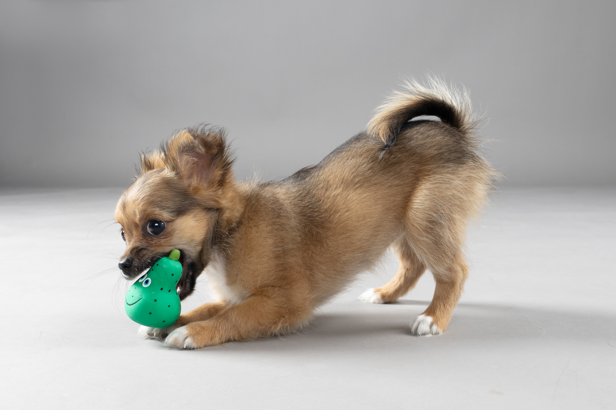Flamingo Speelgoed Pwaro Appel & Peer Meerdere kleuren