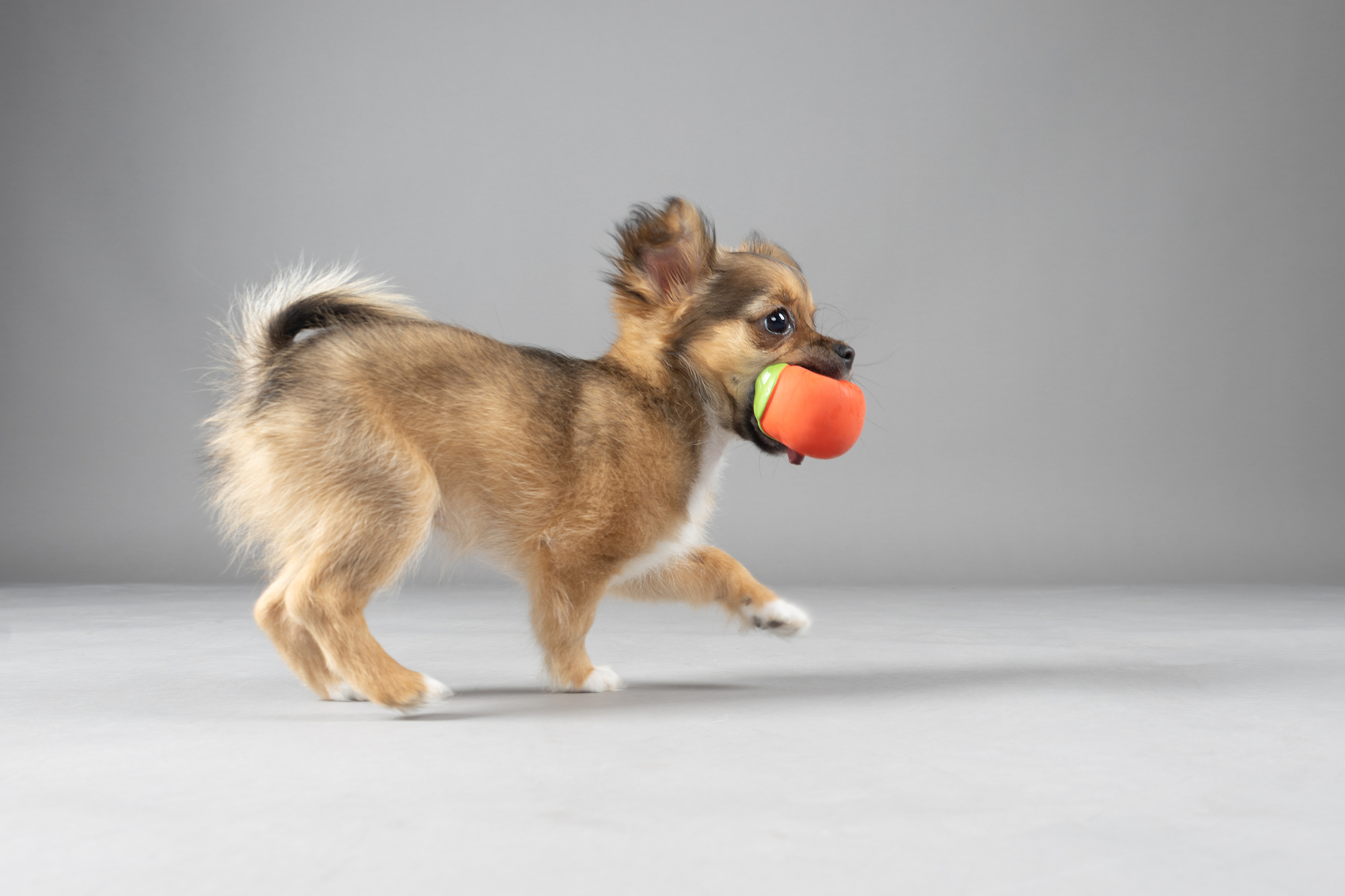 Flamingo Speelgoed Pwaro Appel & Peer Meerdere kleuren
