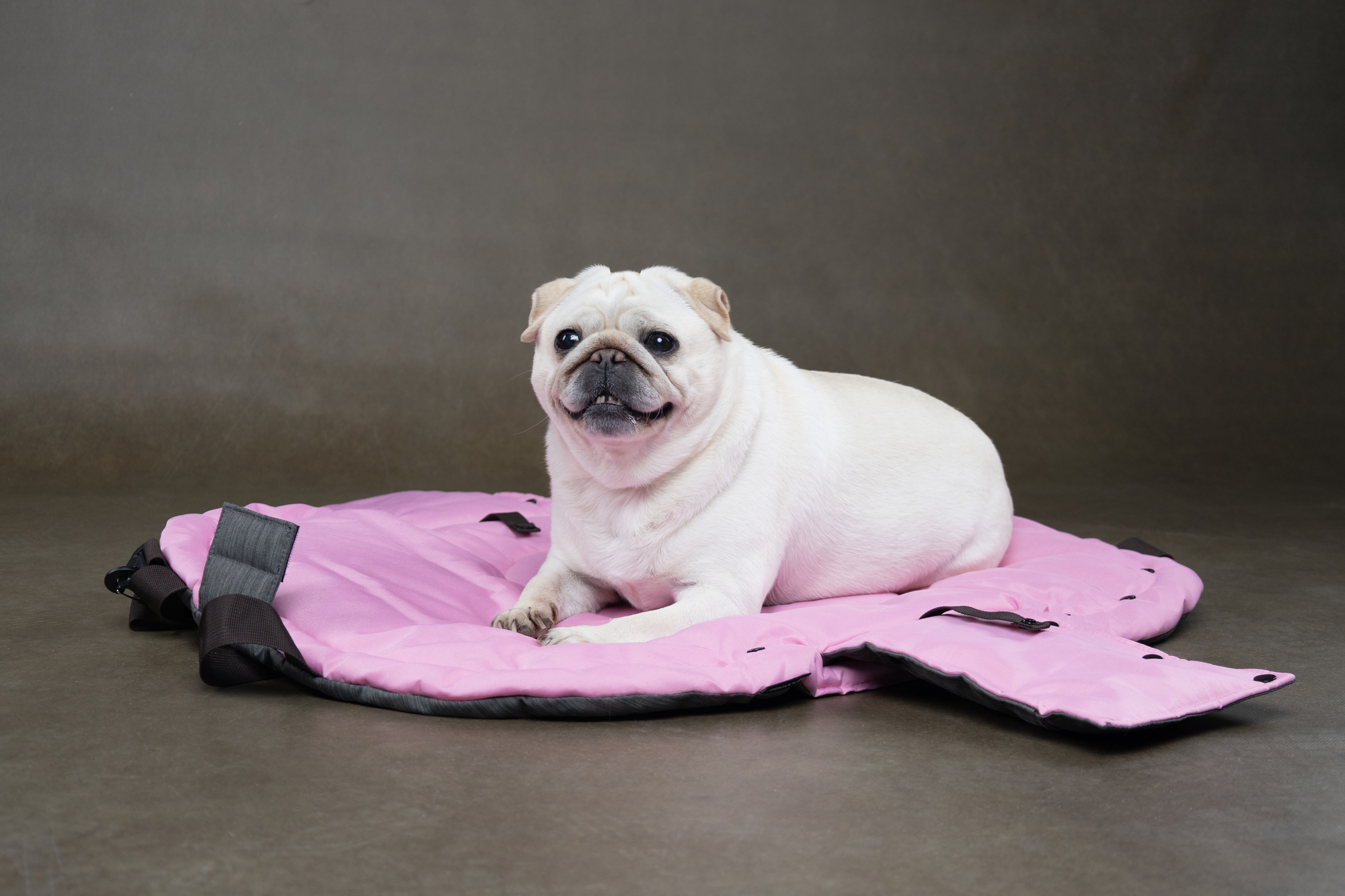 Flamingo Carrying bag Xenos Taupe