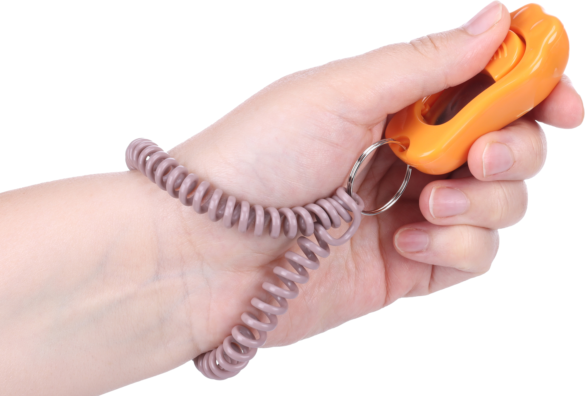 Flamingo Clicker Cucciolo Xer Ocra