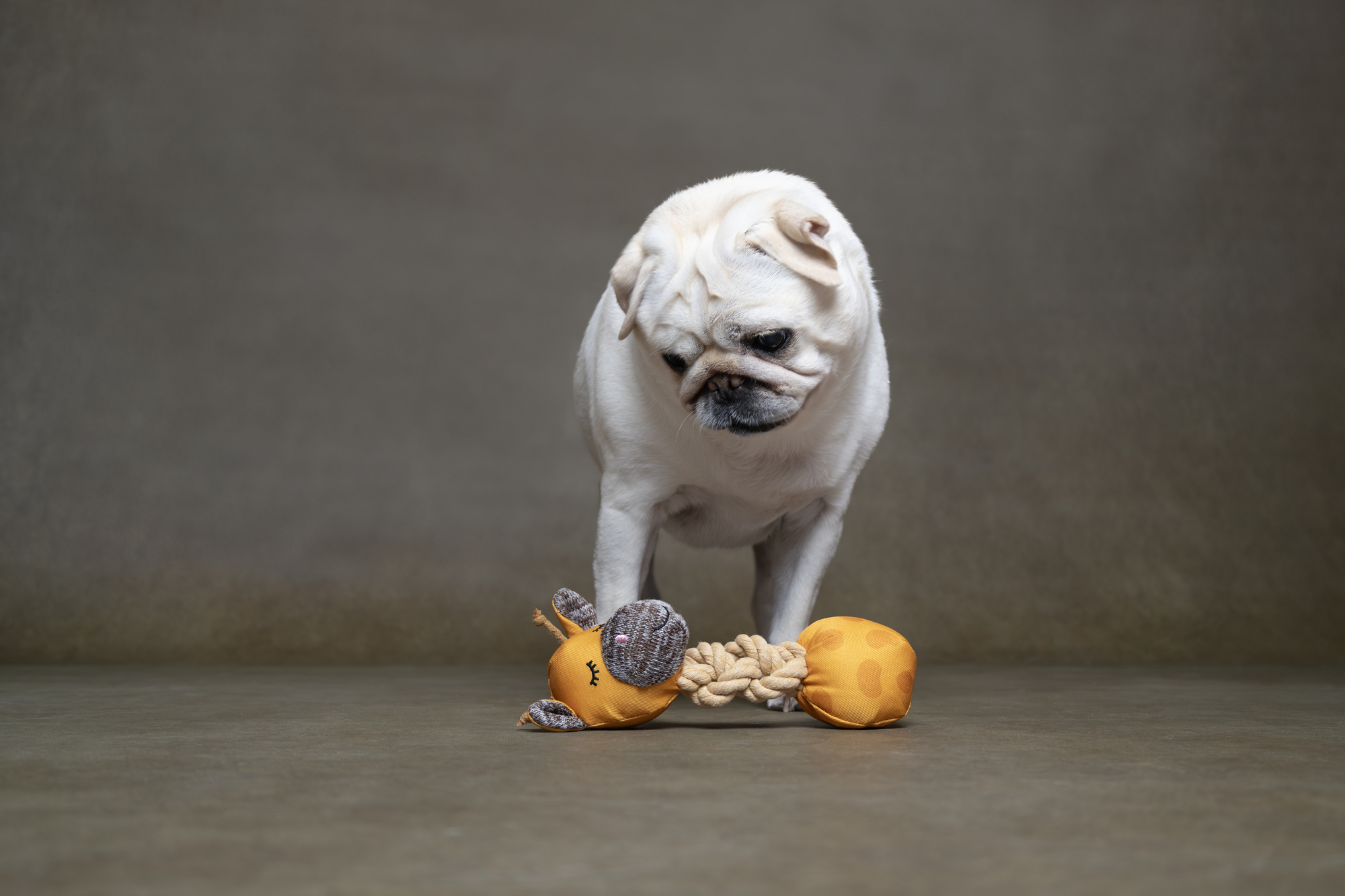 Flamingo Speelgoed Puppy Britty Giraf met bal met touw Meerdere kleuren