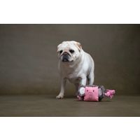 Flamingo Toy Puppy Britty Elephant with rope Multiple colours