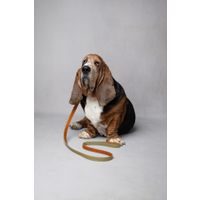 Flamingo Leash Virginia Green