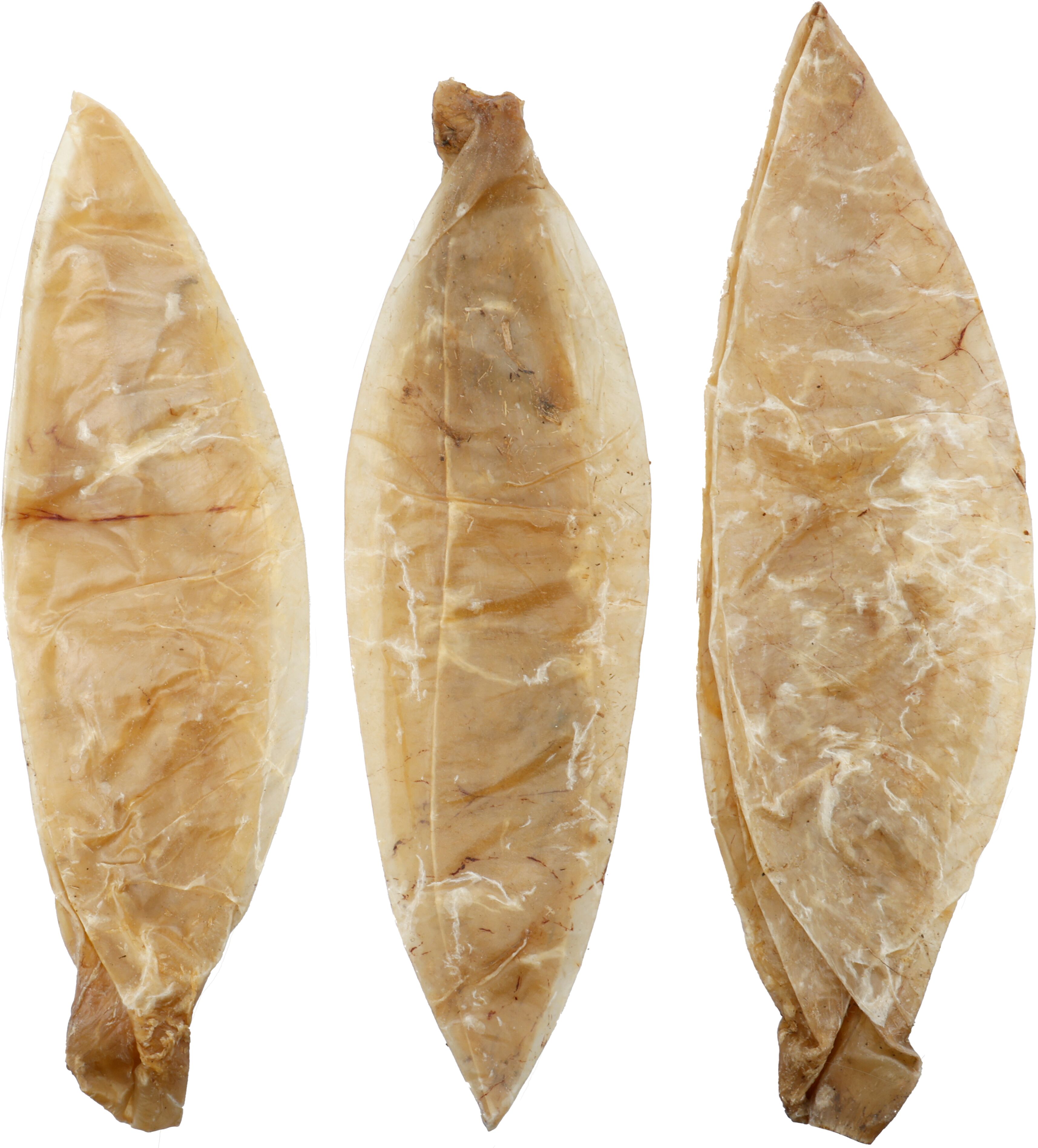 Flamingo Snack Nature Buffelblaas