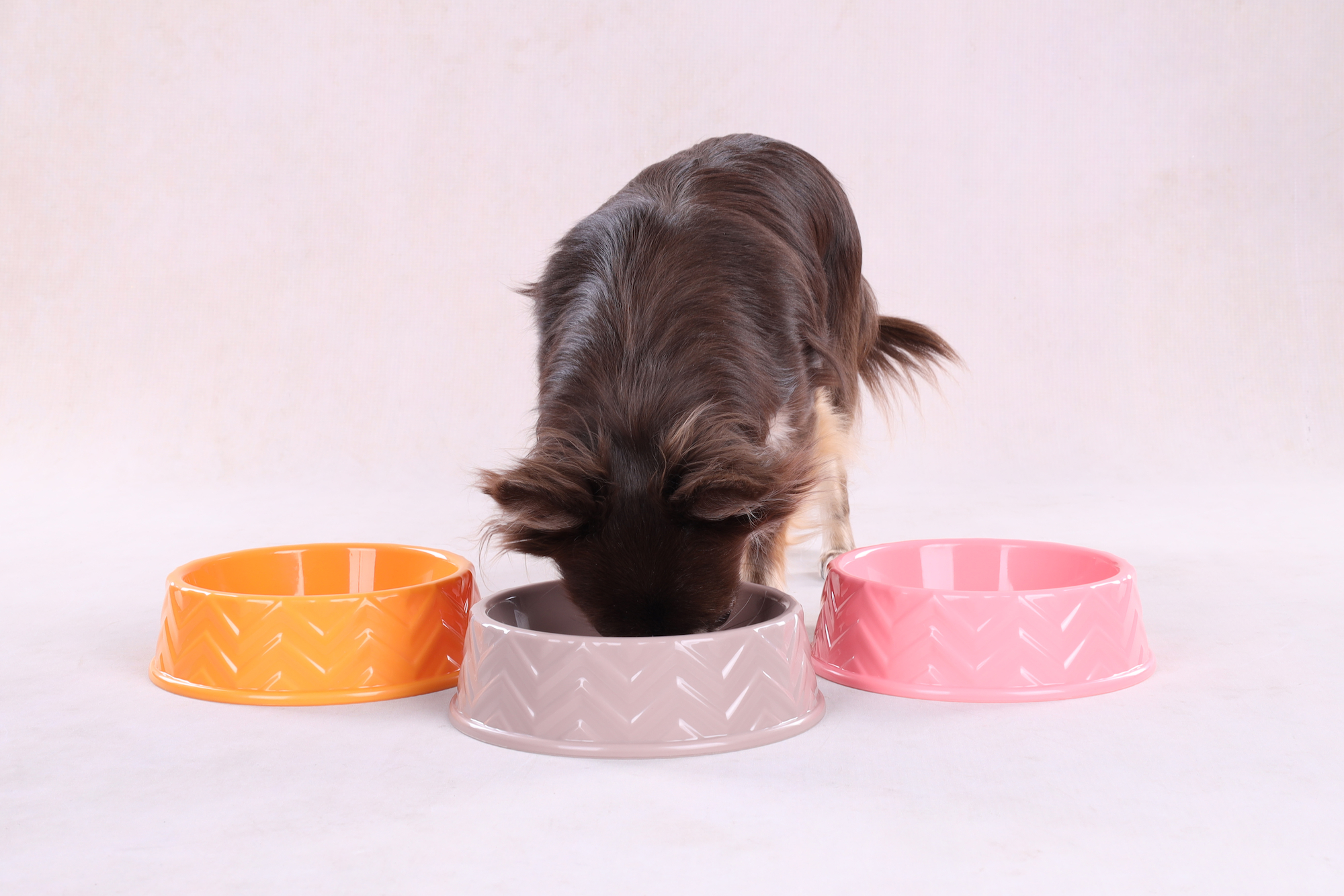 Flamingo dog bowl hotsell