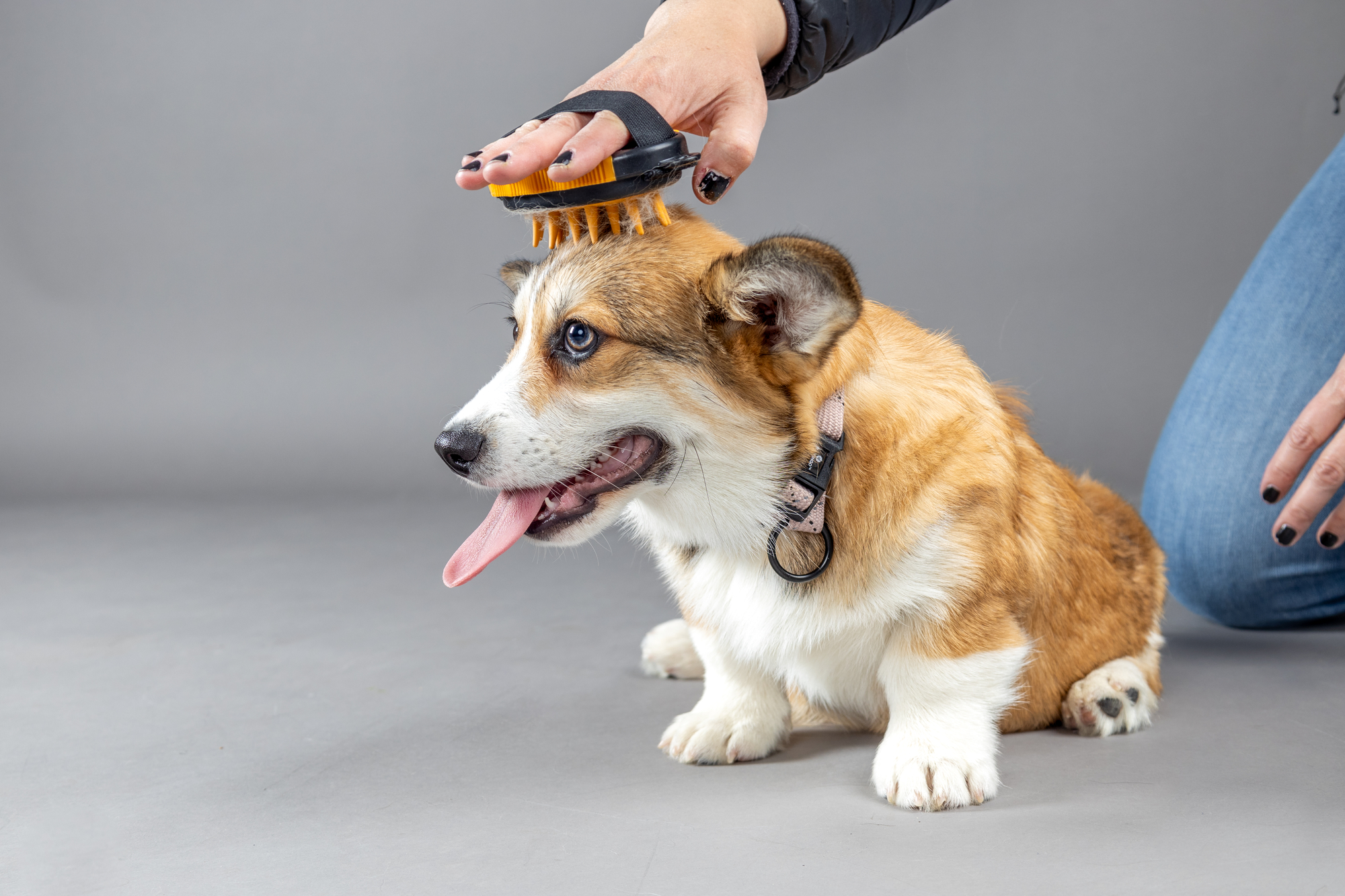 Flamingo Massage brush Calmy Puppy