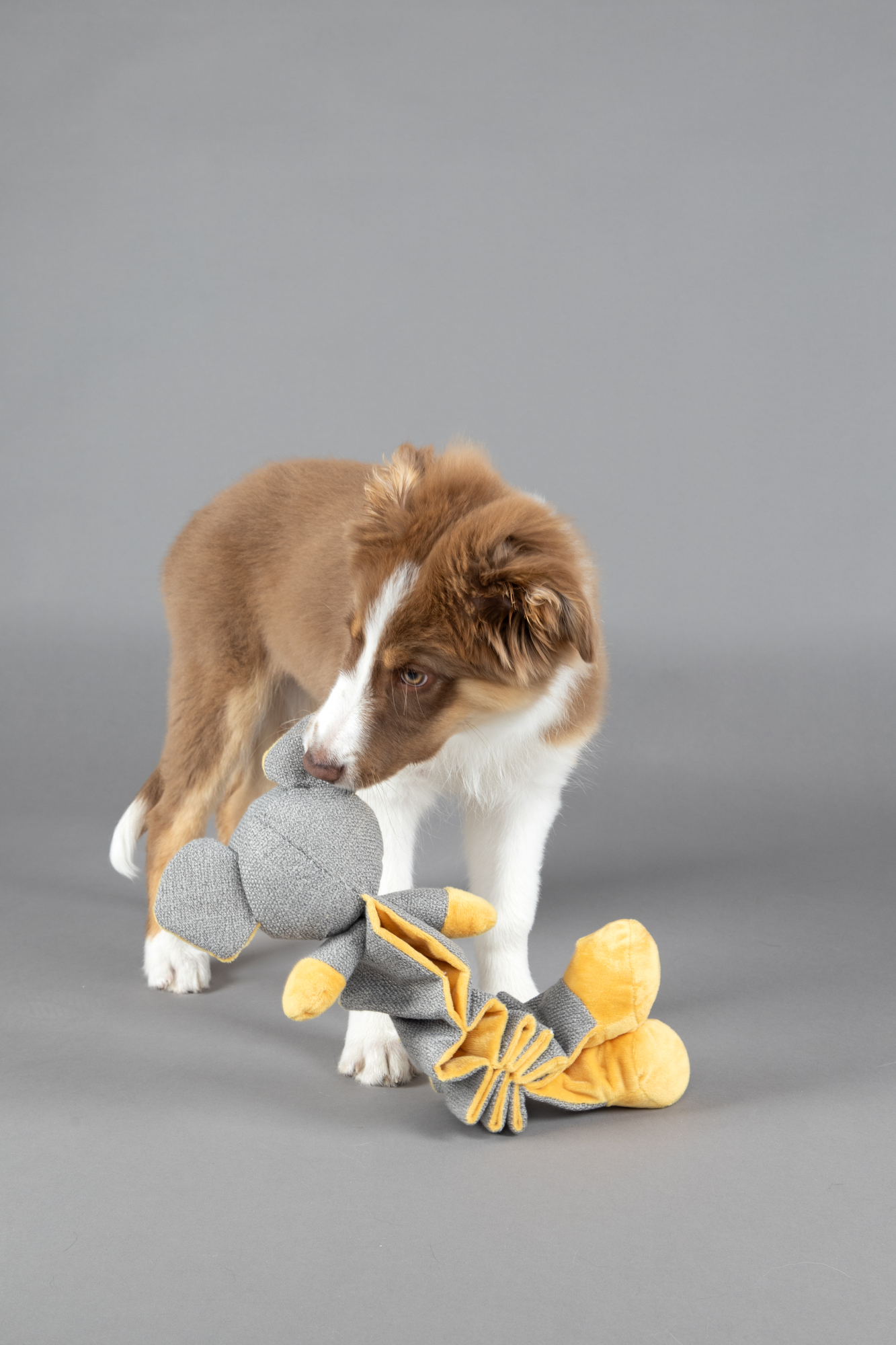 Flamingo Toy Puppy Folsy Mouse Ochre