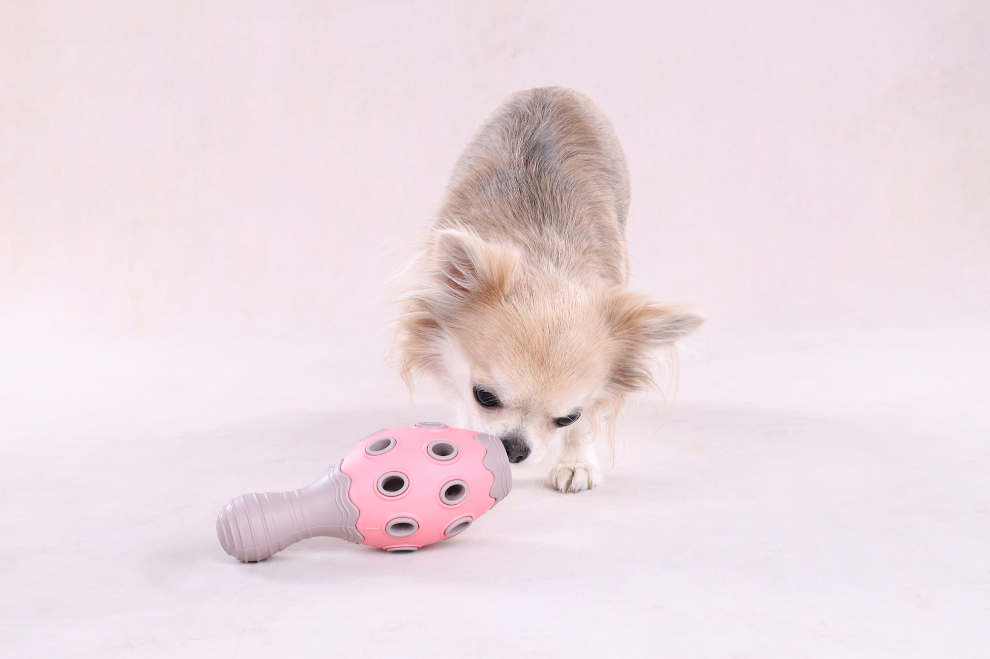 Flamingo Toy Puppy Benty Cone Pink