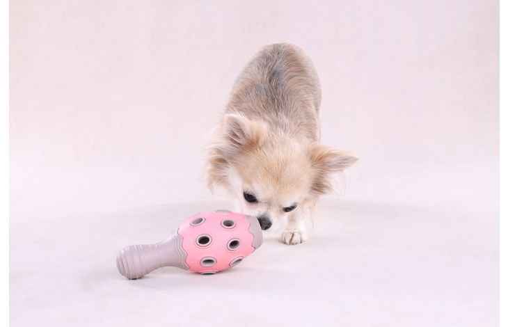 Flamingo Speelgoed Puppy Benty Kegel Roze