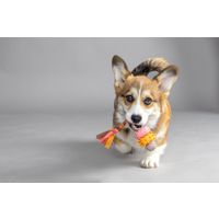 Flamingo Speelgoed Puppy Bunty Ring Taupe
