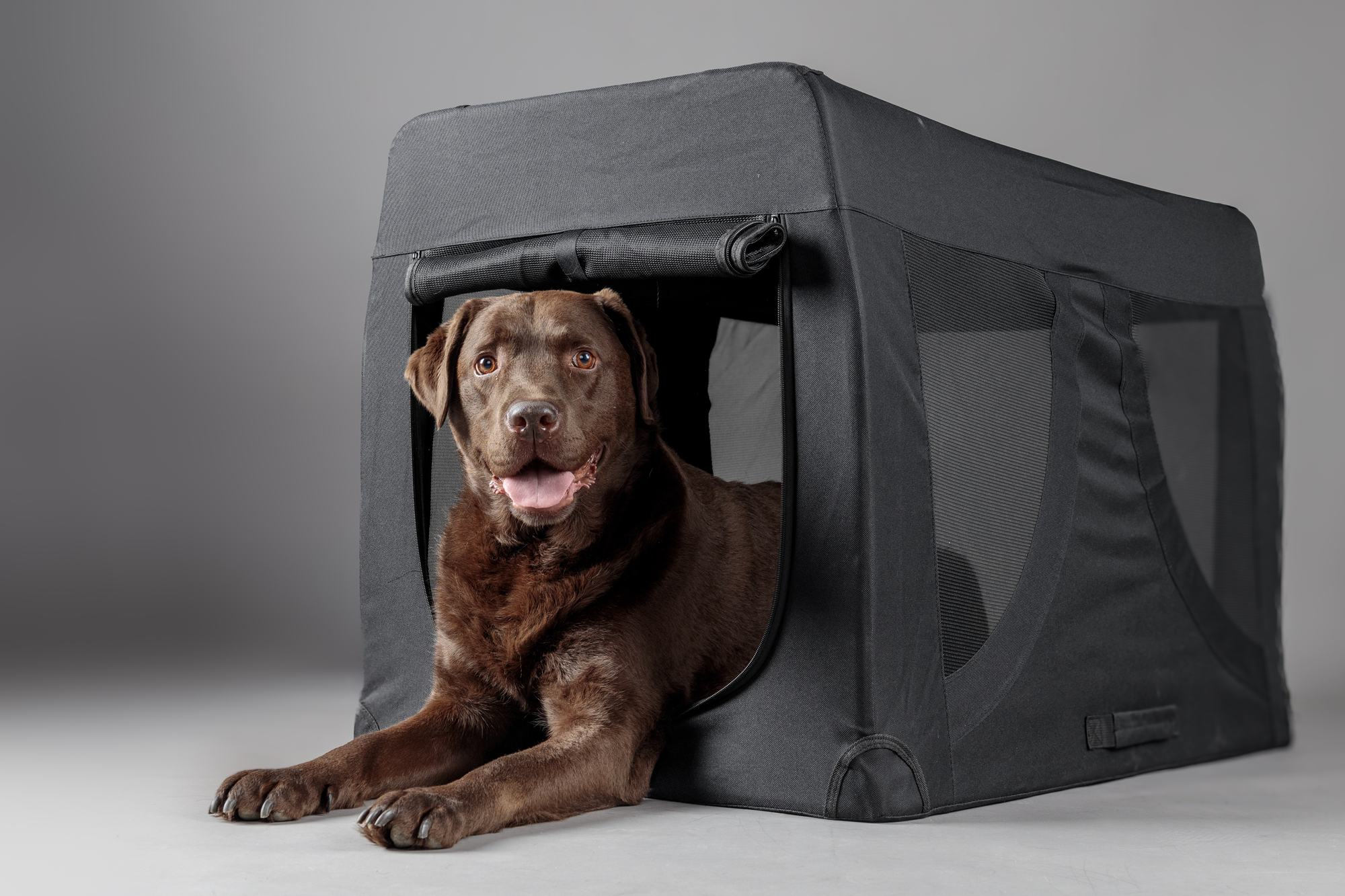 Flamingo Transport cage Gepetto Black