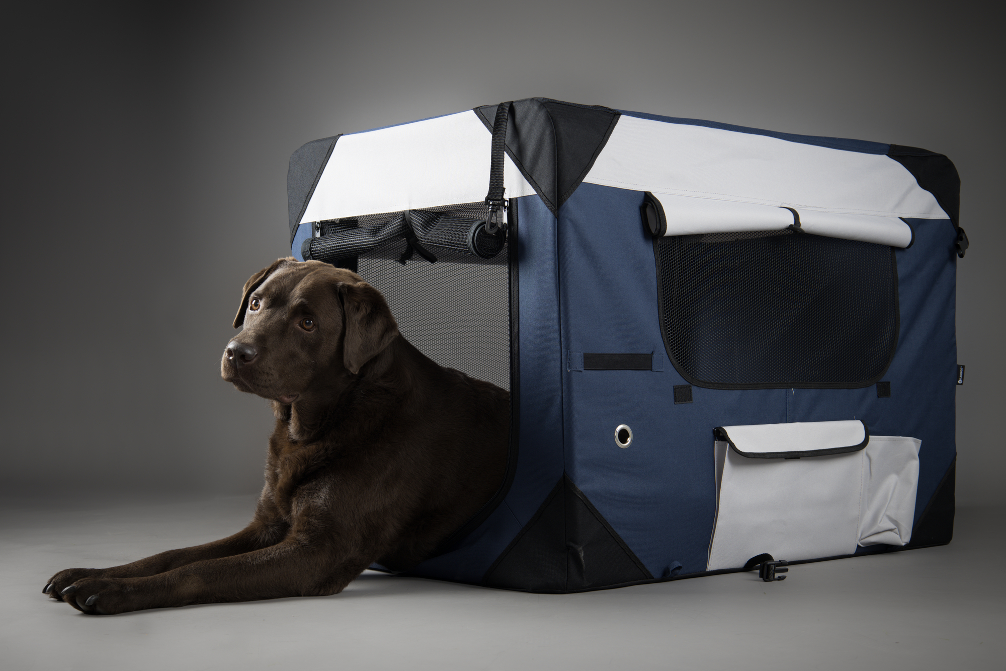 Flamingo Transport cage Geronimo Blue