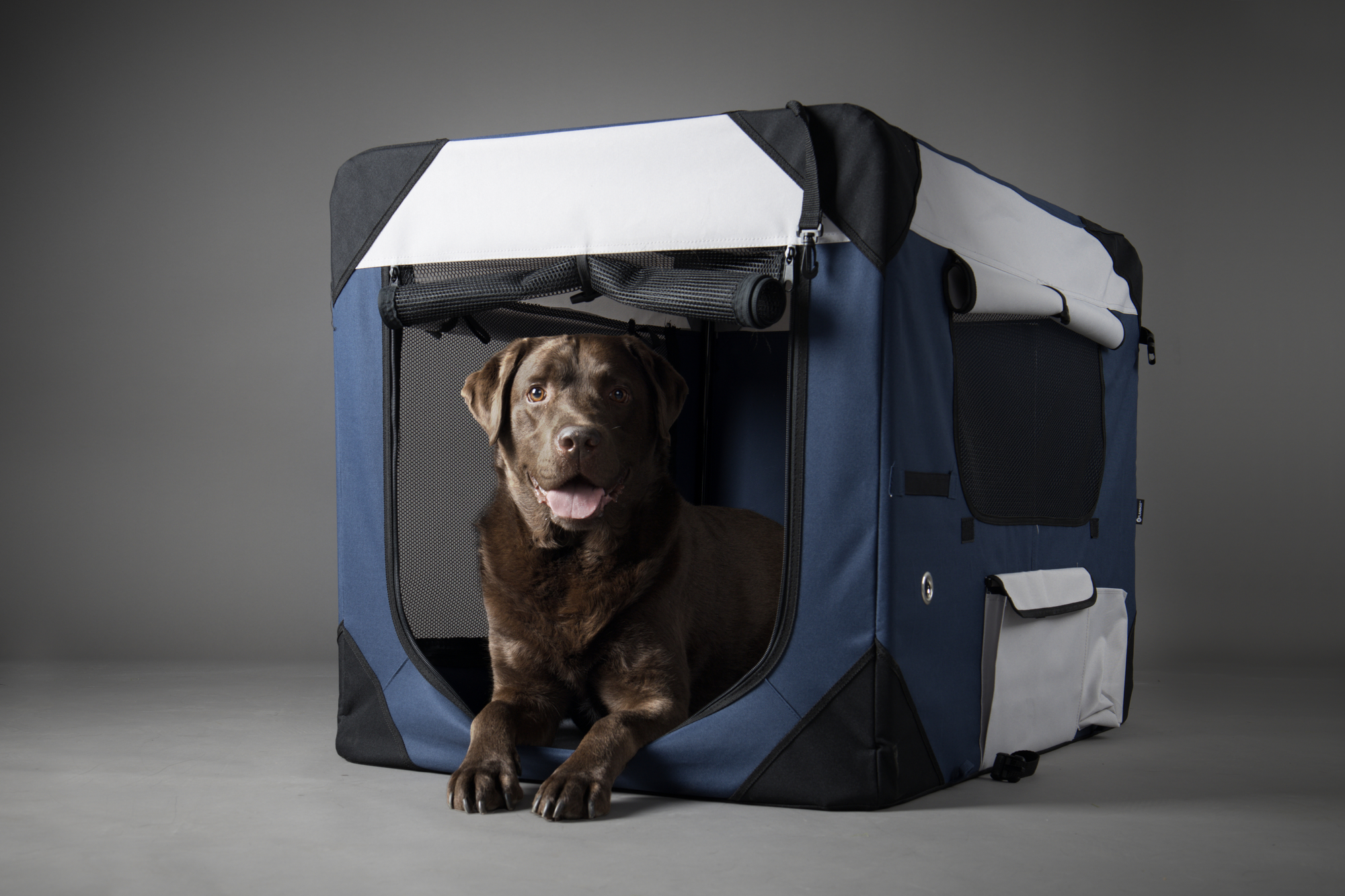 Flamingo Transport cage Geronimo Blue