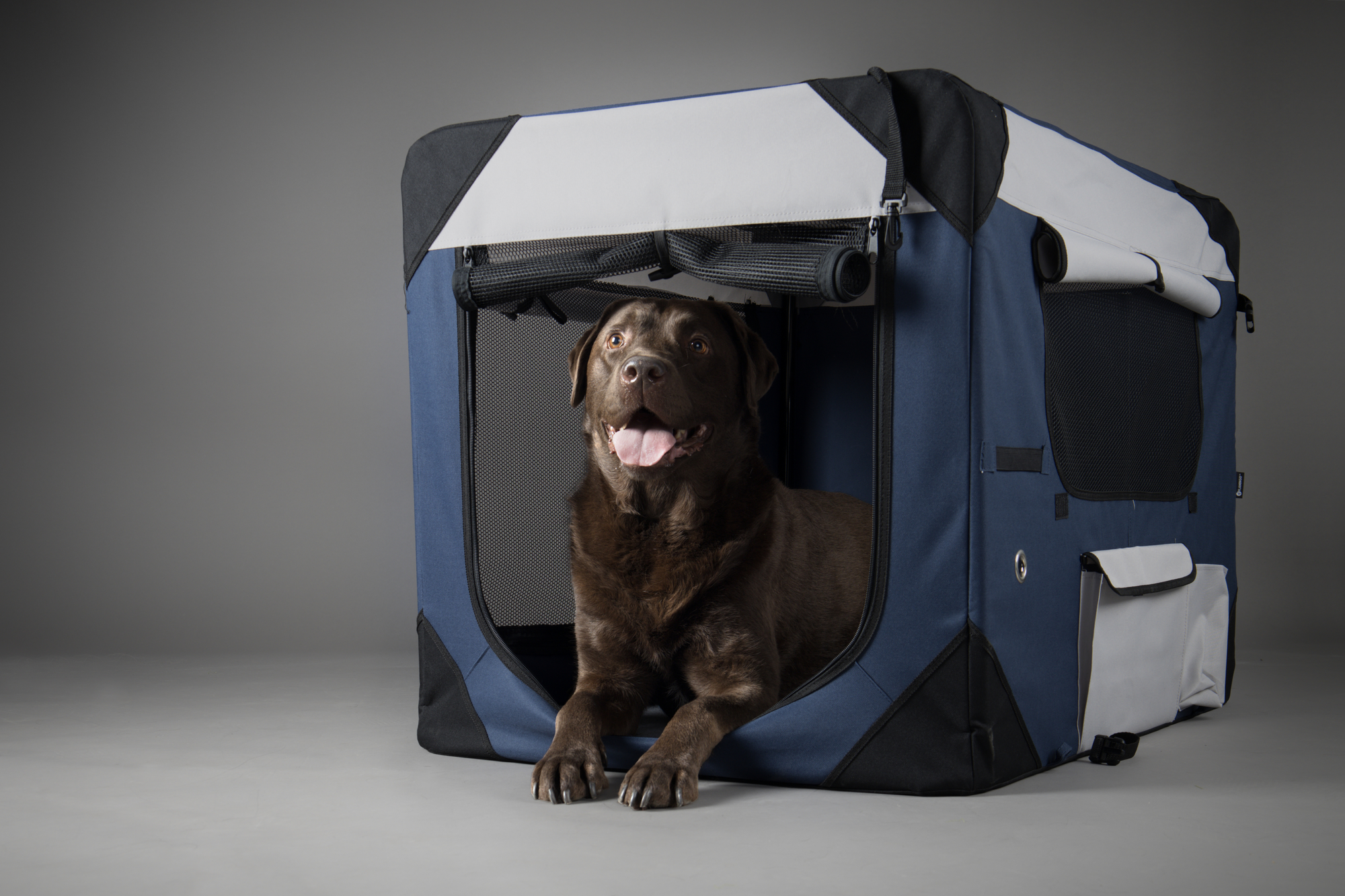 Flamingo Transport cage Geronimo Blue