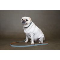 Flamingo Halsband Virginia Lichtblauw