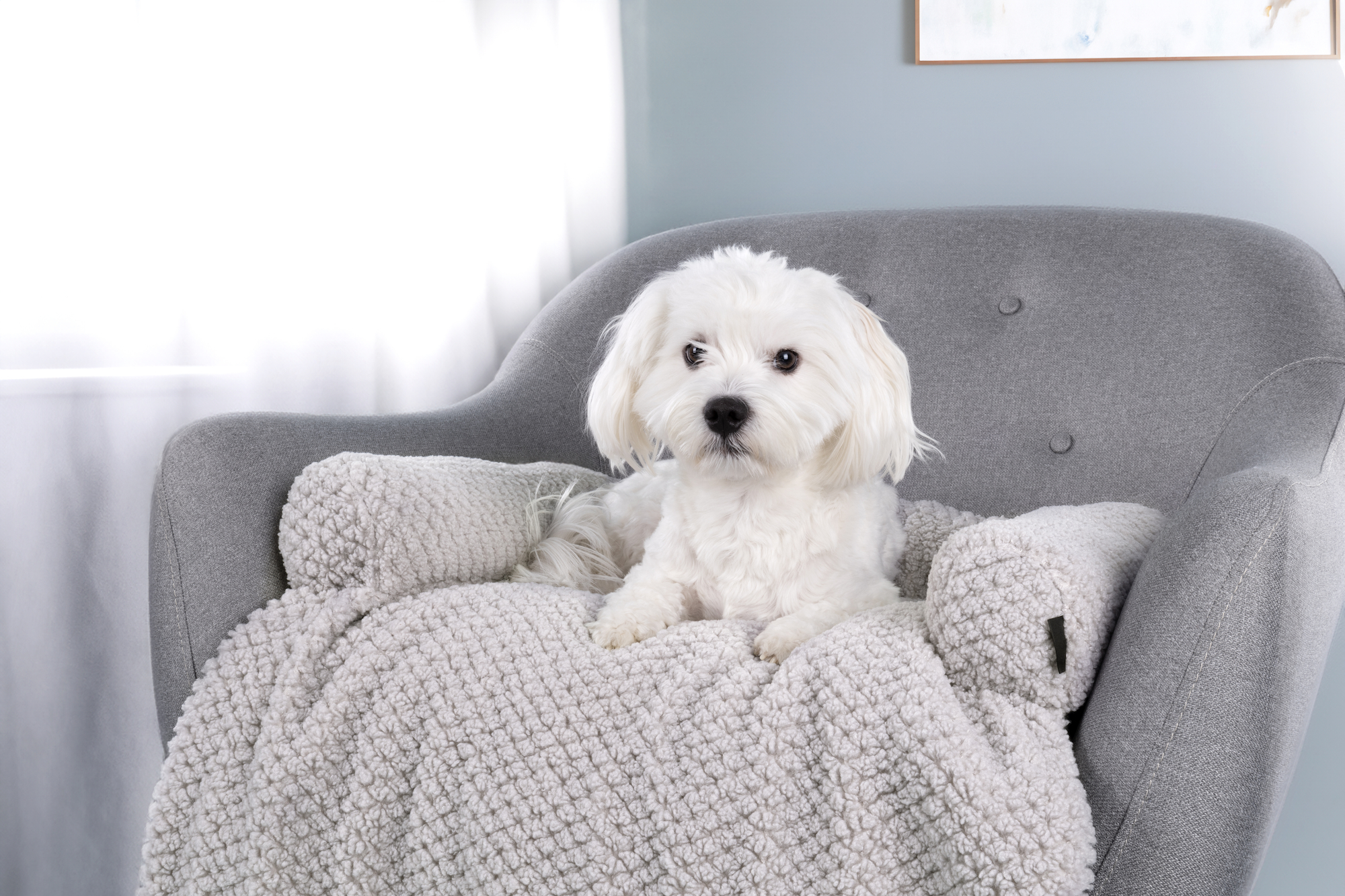 Flamingo Sofa protector Jacquard Grey