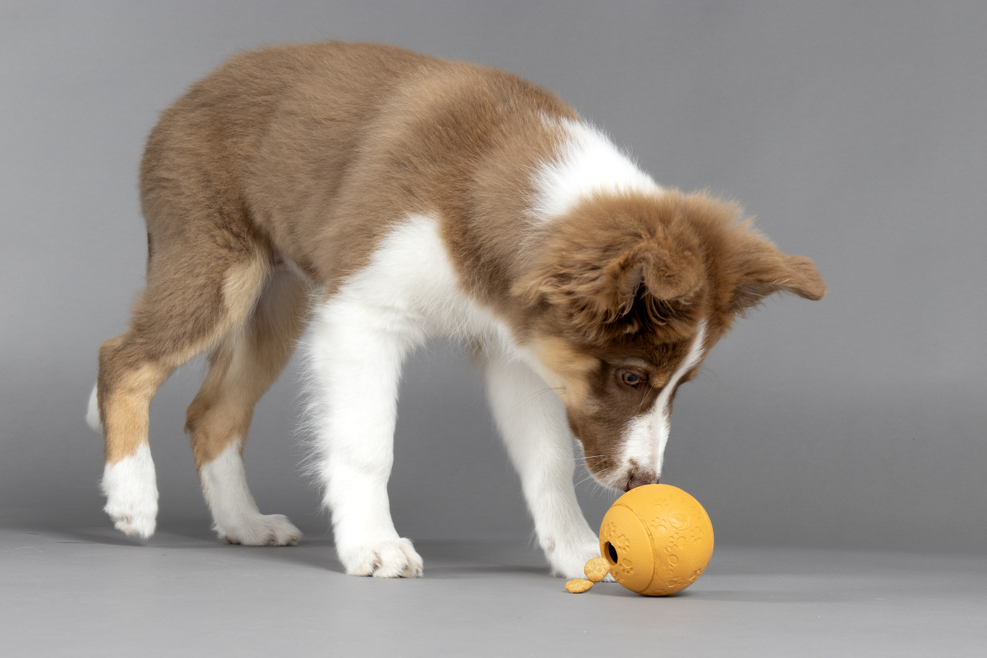 Flamingo Treat ball Puppy Rhea  Multiple colours