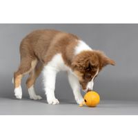 Flamingo Snackbal Puppy Rhea  Meerdere kleuren
