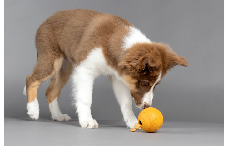 Flamingo Snackbal Puppy Rhea  Meerdere kleuren