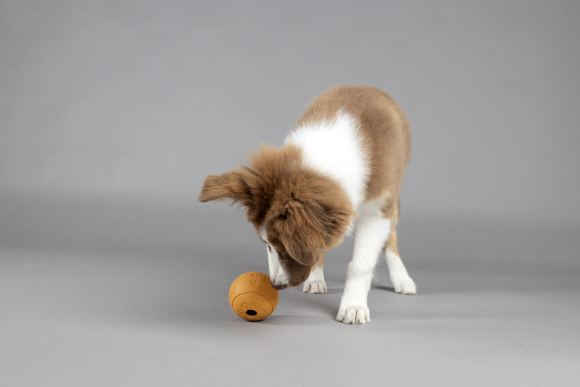 Flamingo Treat ball Puppy Rhea  Multiple colours