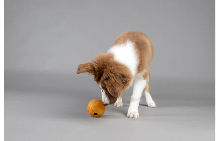 Flamingo Snackbal Puppy Rhea  Meerdere kleuren