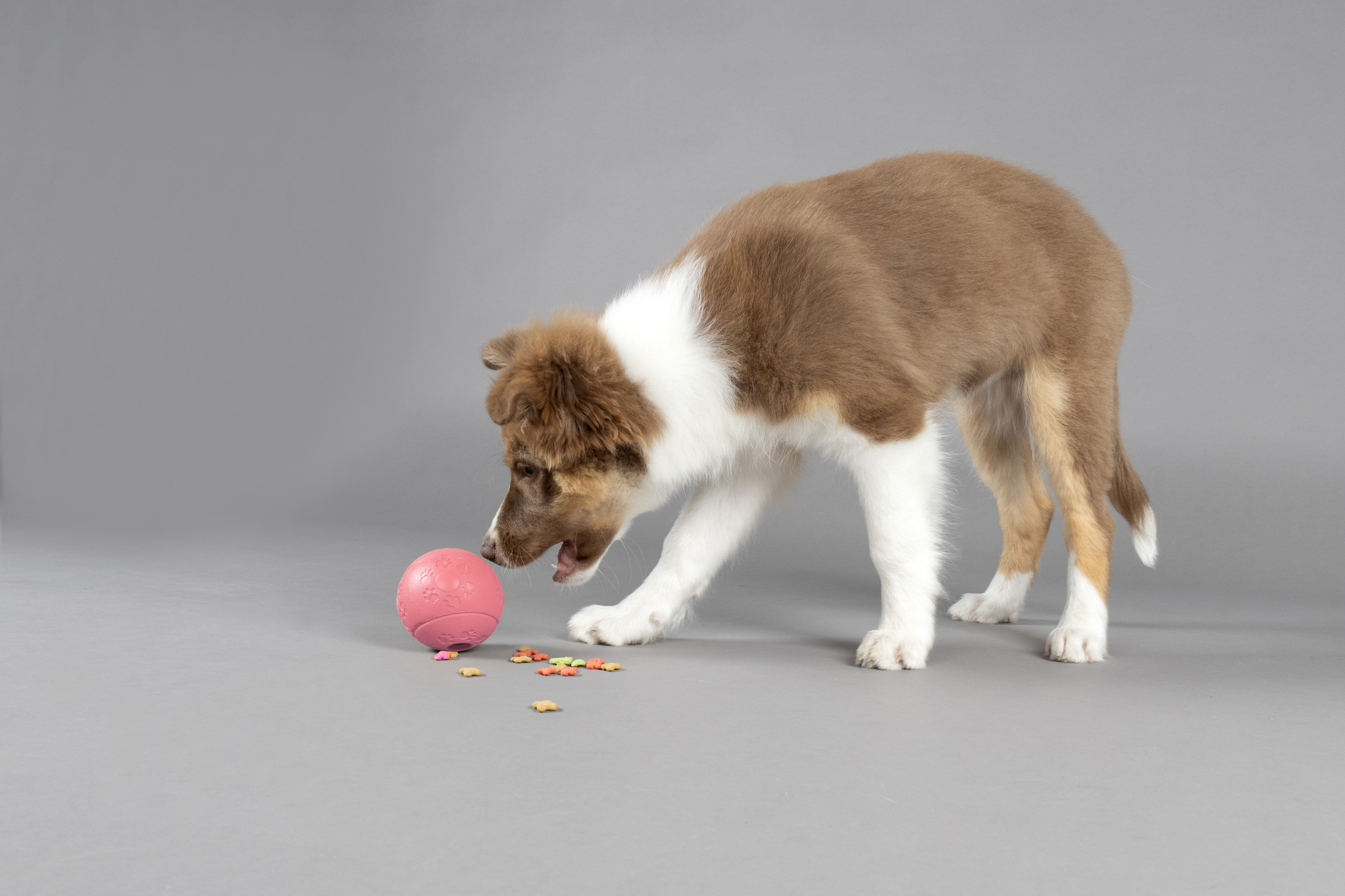 Flamingo Treat ball Puppy Rhea  Multiple colours