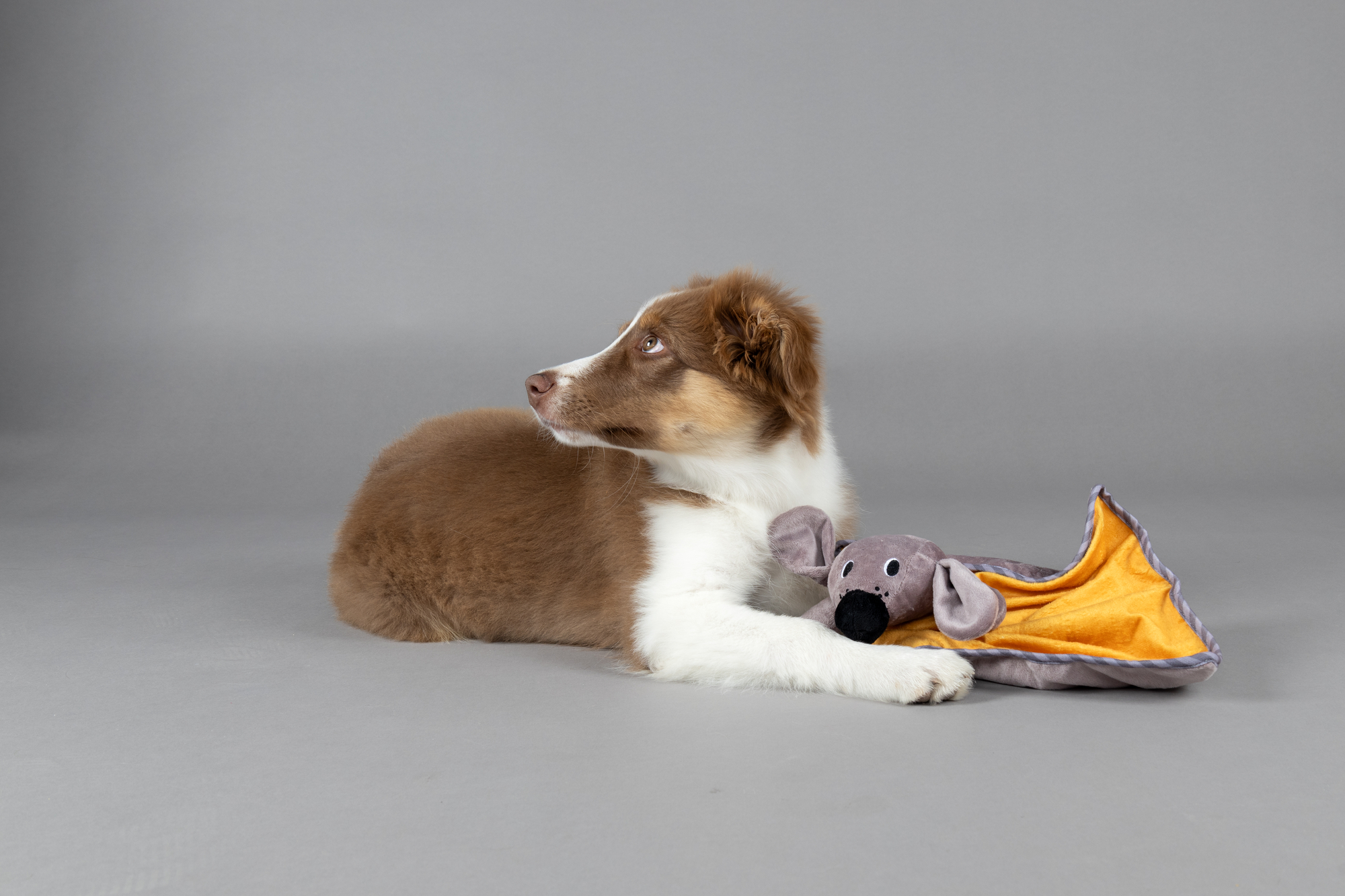 Flamingo Giocattolo Cucciolo Livo Coperta coccole Ocra