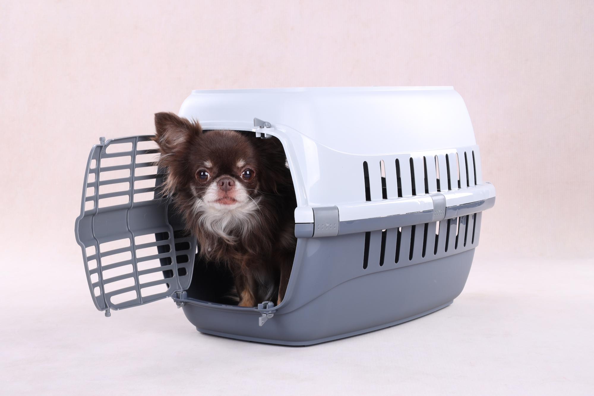 Flamingo Transport cage Noah 1 Dark grey