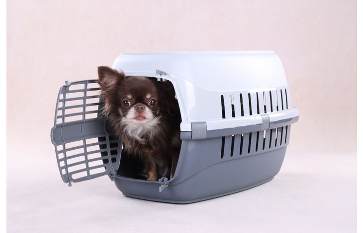 Flamingo Cage de transport Noah 1 Gris foncé