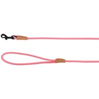 Flamingo Leash Puppy Malibu Pink