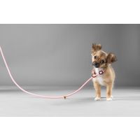 Flamingo Correa antitirones Cachorro Malibu Rosa