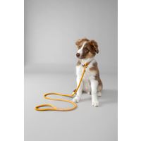 Flamingo Correa antitirones Cachorro Malibu Ocre