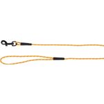 Training and tracking leash Puppy Dolly Ochre