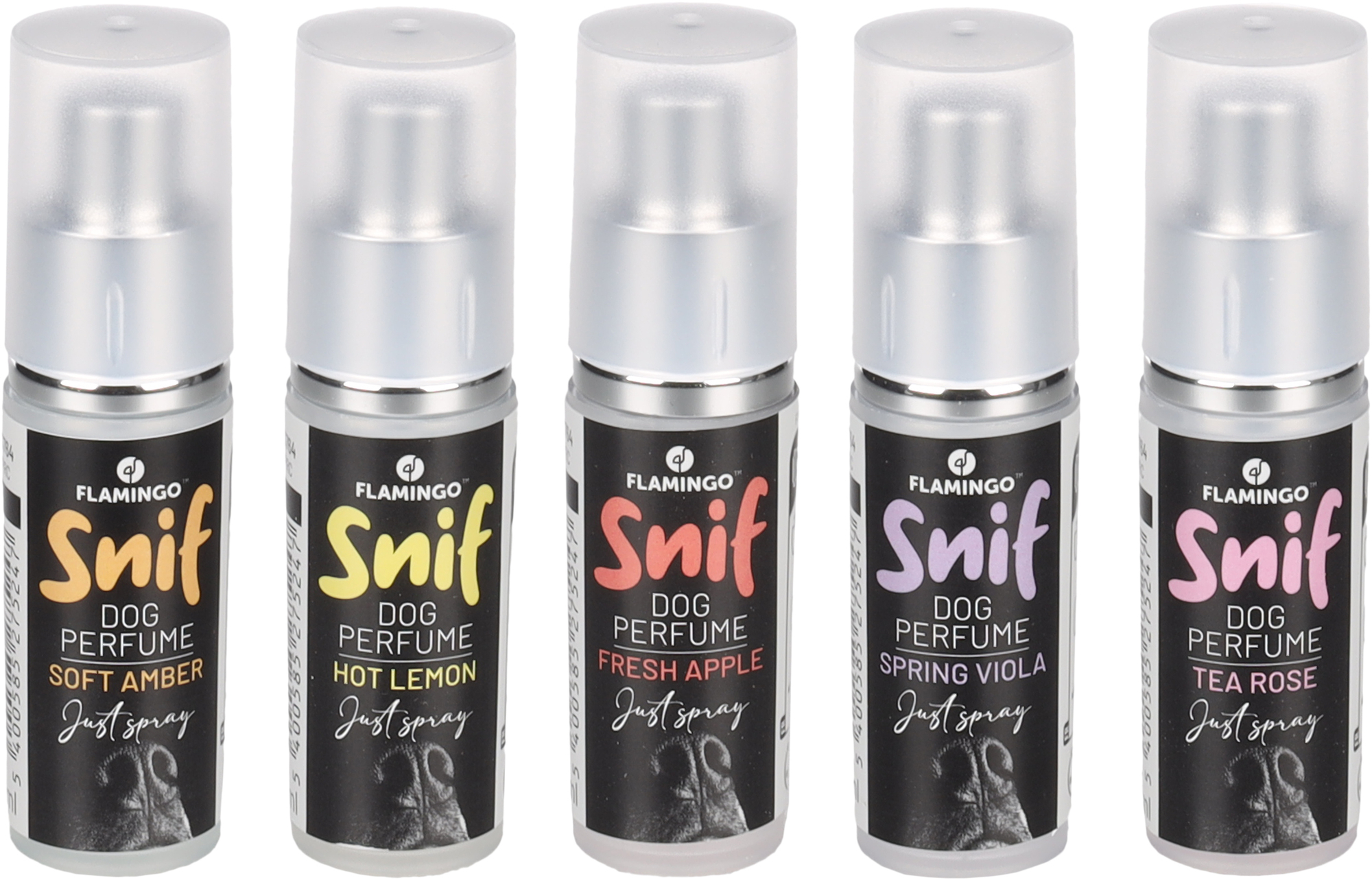 Flamingo Perfume Raika 5 Fragrances Display 9ML