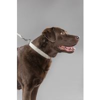 Flamingo Halsband Lago Beige