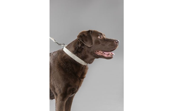 Flamingo Halsband Lago Beige