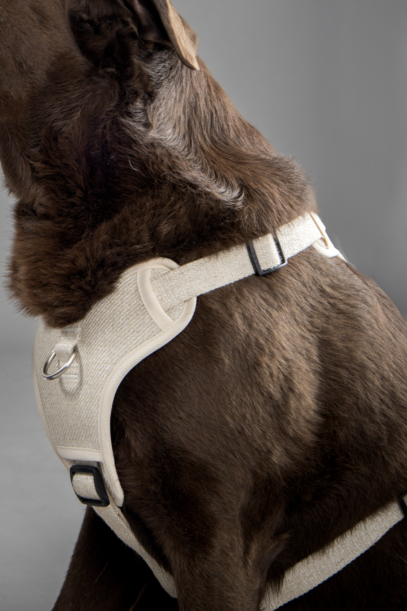 Flamingo Harness Lago Beige