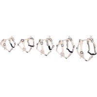 Flamingo Pettorina Lago Beige
