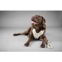 Flamingo Pettorina Lago Beige