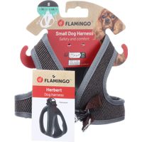 Flamingo Harnais Step&Go Herbert Brun foncé