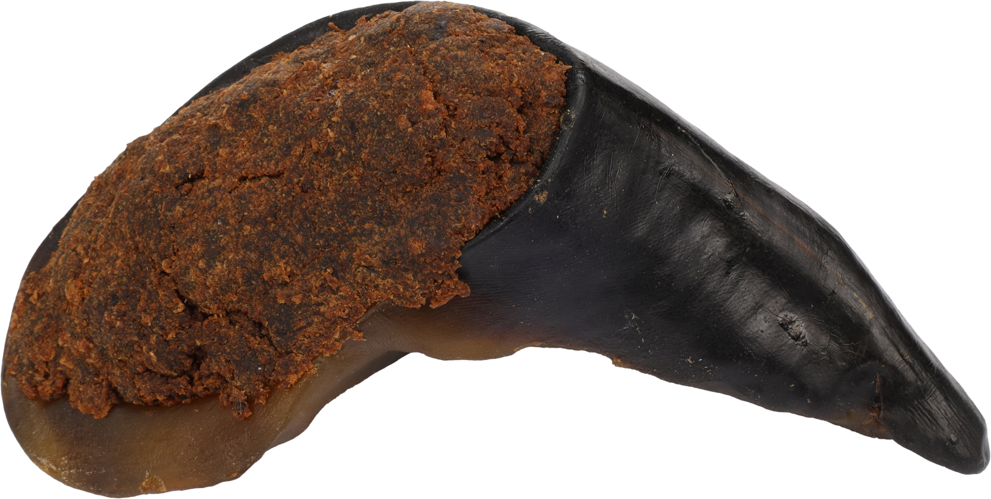 Flamingo Snacks Nature Buffalo hoof with lung