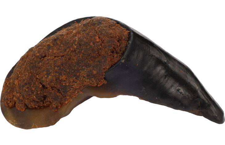 Flamingo Snacks Nature Buffalo hoof with lung